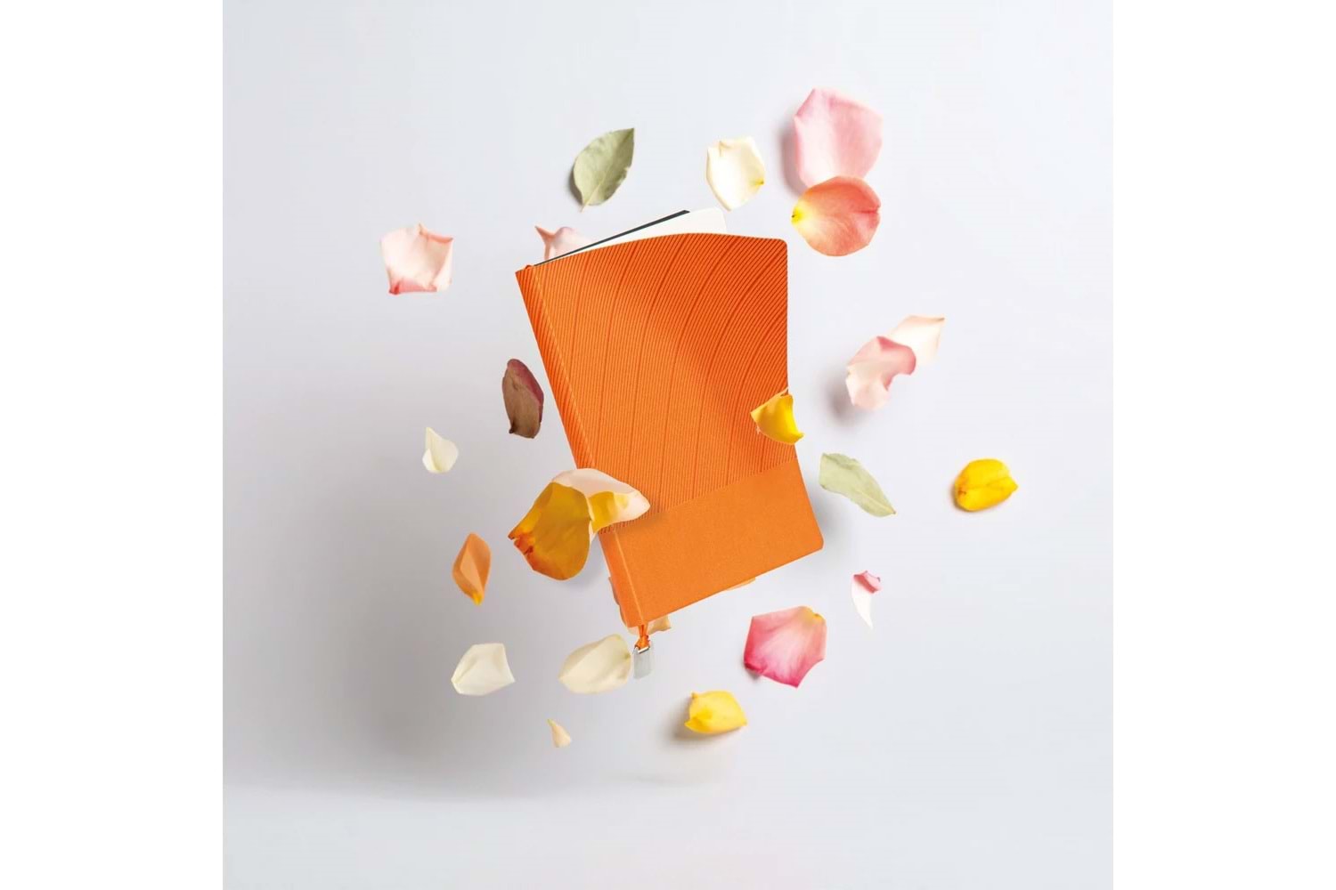 Tarihsiz Defter - İstinye-S