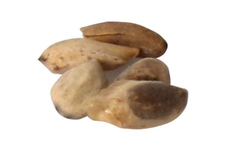 Tohumlu Tükenmez Kalem - 0522-250-DK
