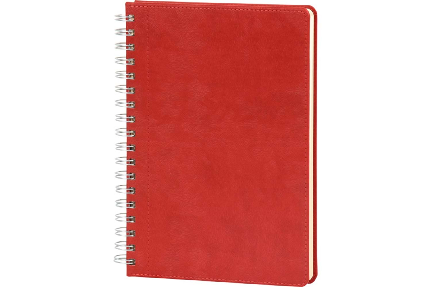 Spiralli Tarihsiz Defter - Bağcılar-17x24-K