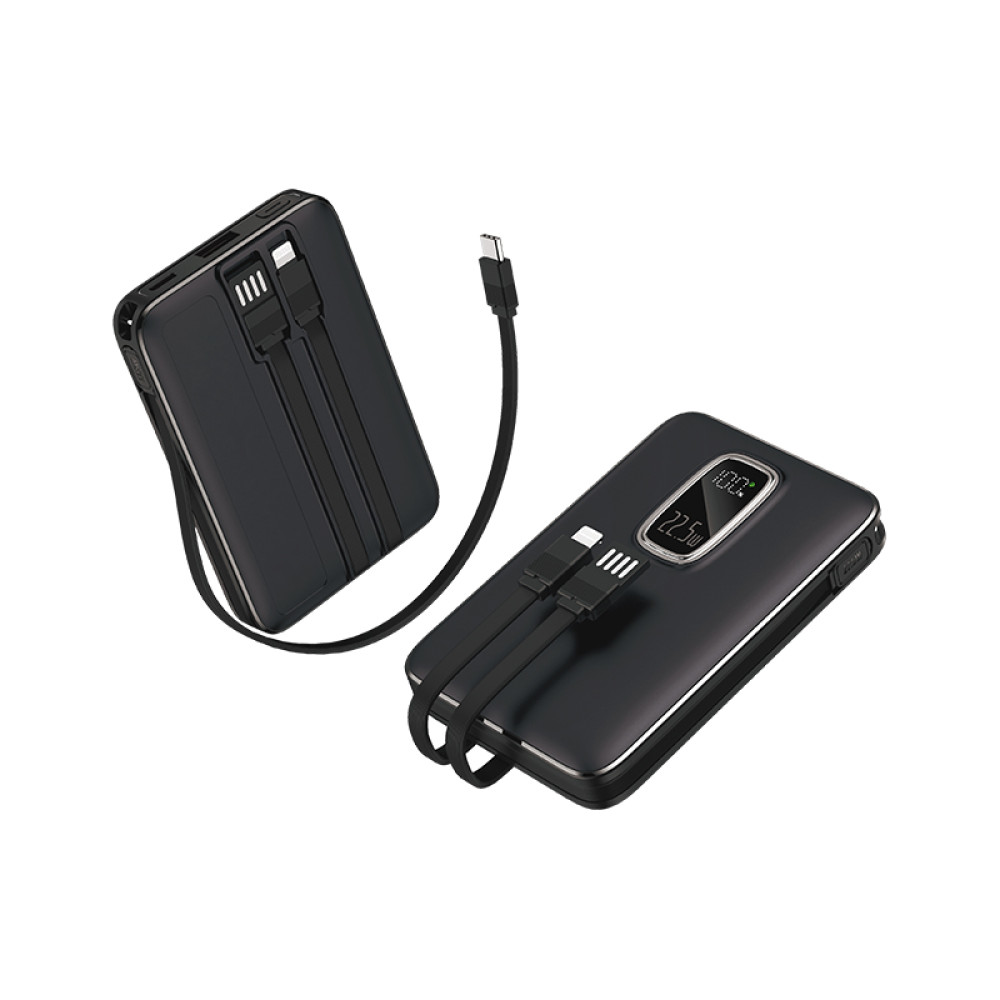 10.000 mAh Powerbank
